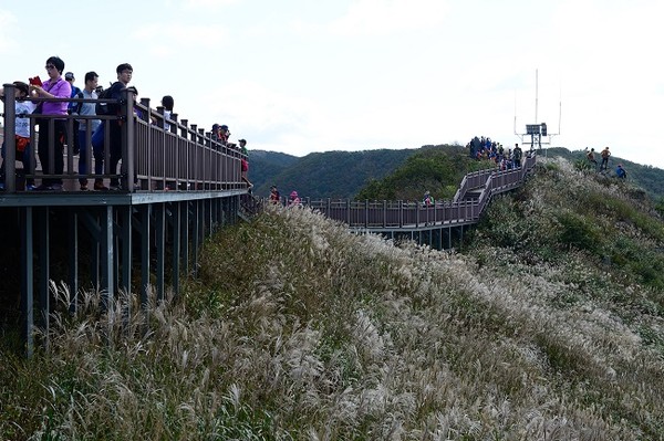 홍성군 가을 여행 오서산