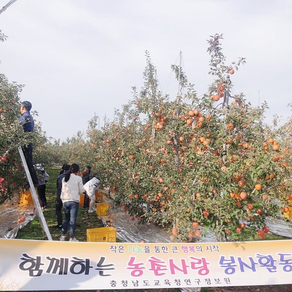 충남교육청연구정보원 농촌봉사활동