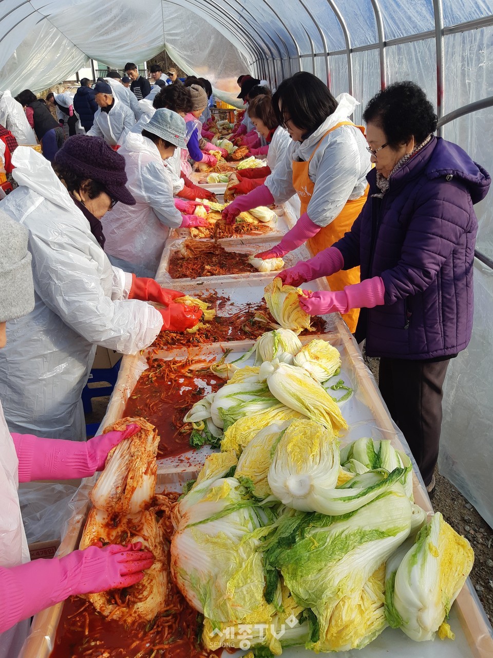 한국불교태고종 도광사(주지 도공스님)가 21일 겨울철을 맞아 저소득 취약계층을 위한 사랑의 김장김치 나눔 행사를 진행하고 있다.(사진제공=천안시청)