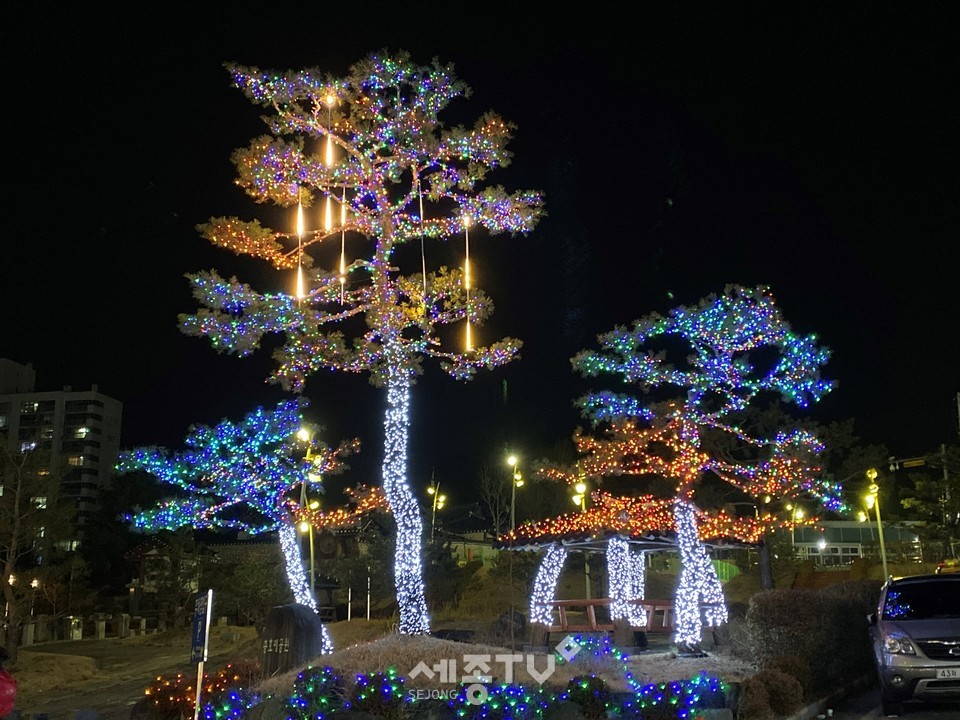 충효예공원 광장에 소나무 트리가 설치된 모습.(사진제공=금산군청)