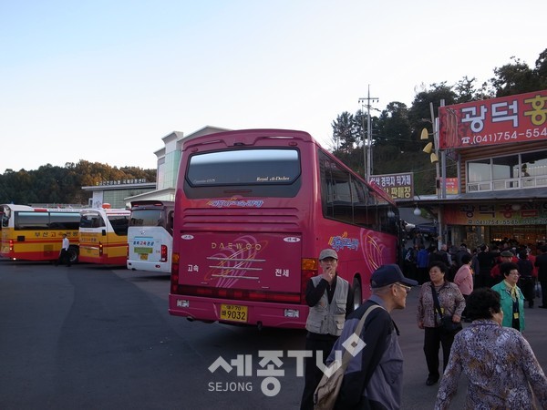 금산에 방문한 관광객들. (사진제공=금산군청)