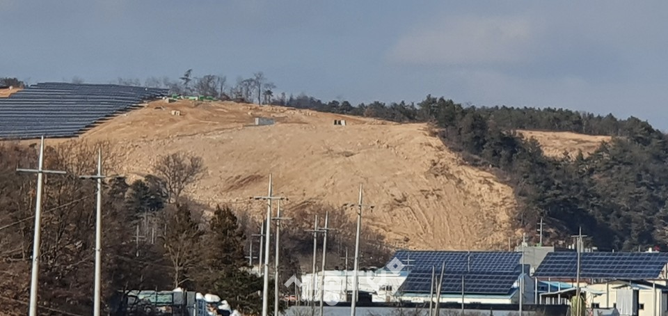 사진설명:태양광사업 지 전경