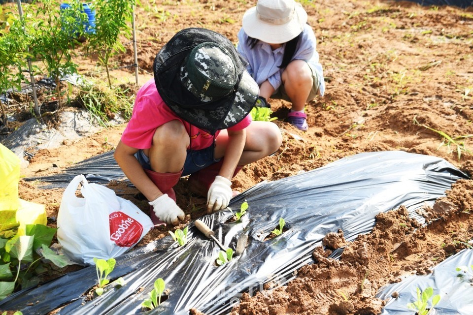 도시농부학교 모습. (사진제공=천안시청)