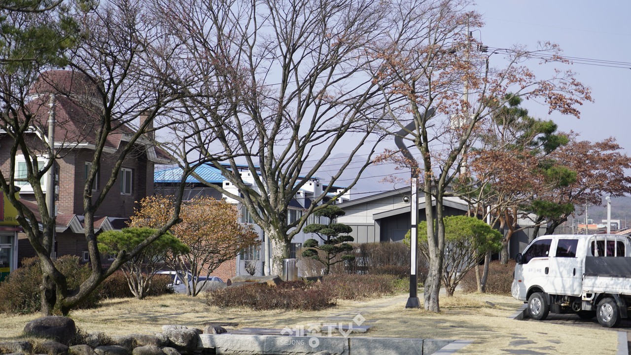 금산군산림녹지과, 생활권 수목(樹木)진료 컨설팅 10개소 추진. (사진제공=금산군청)