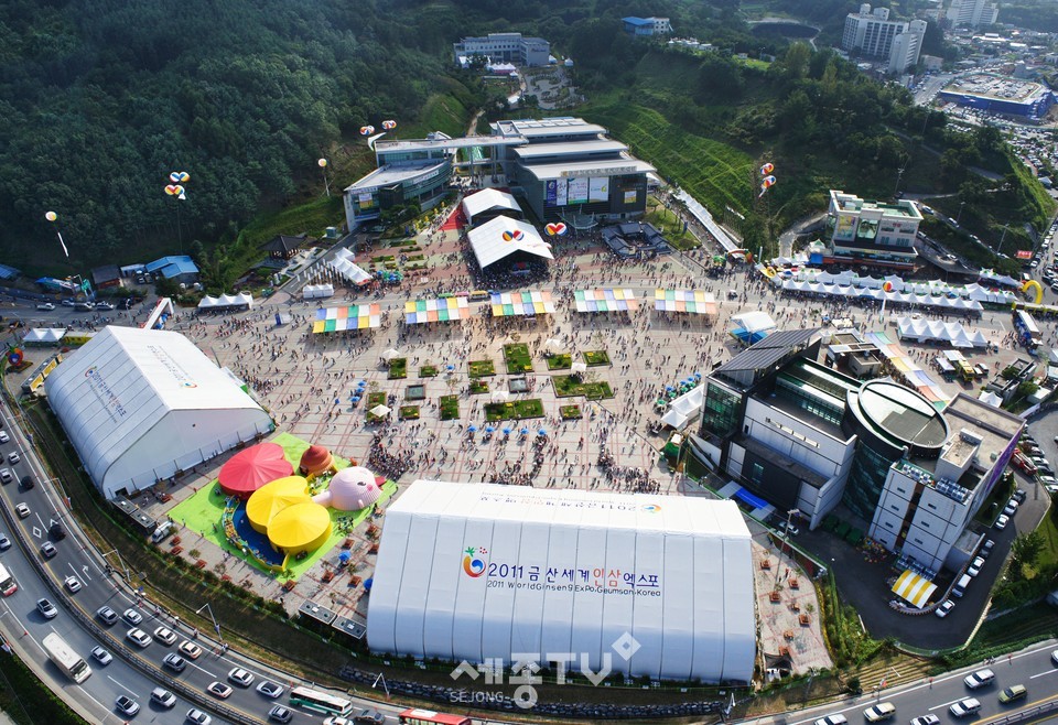 2011년 금산세계인삼엑스포.