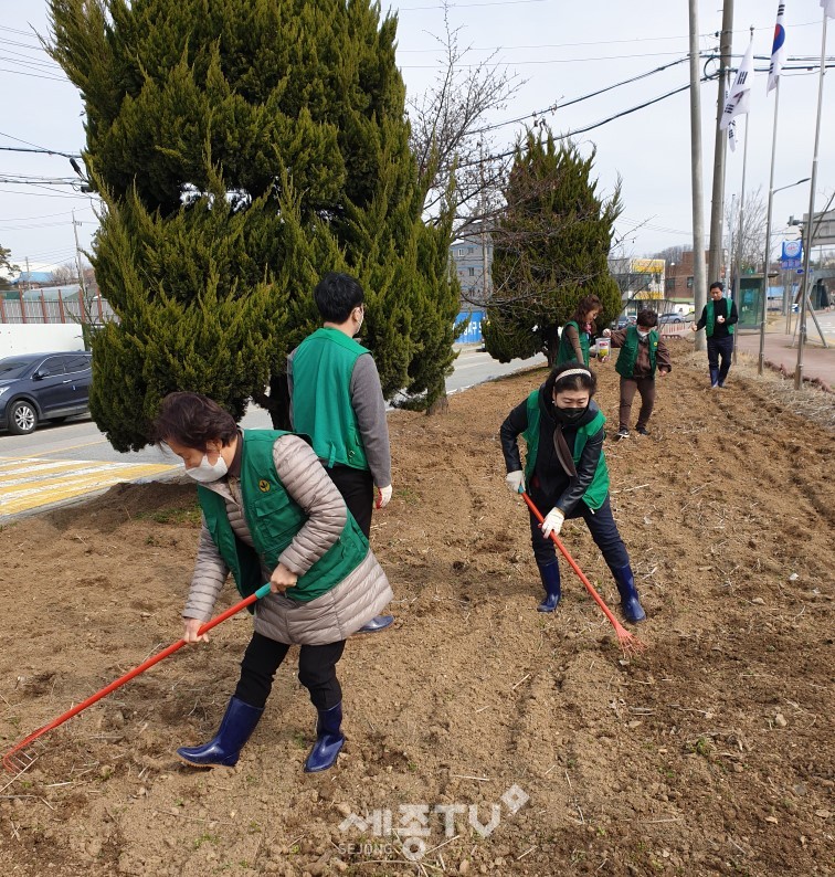 천안시 부성1동과 새마을부녀회가 지난 13일 청사 앞 1번 국도 주변에 유채꽃씨 파종을 실시했다.(사진제공=천안시청)