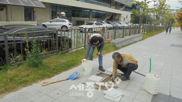 아름동,주민센터옆 보행자도로 보도블럭 보수.