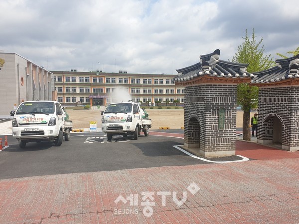 봉황초
