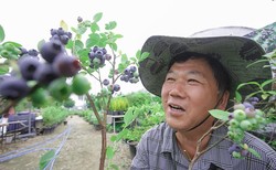 유영농원 유병기 대표