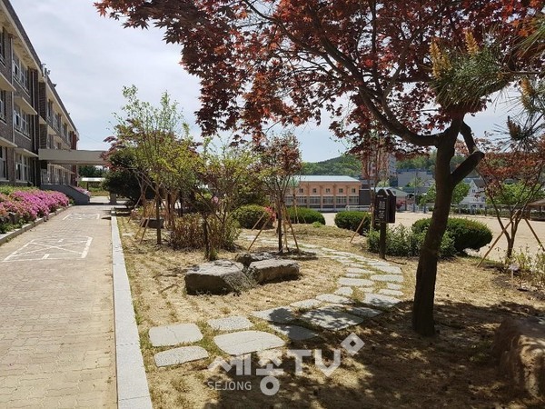 금산동초등학교에 조성된 명상숲. (사진제공=금산군청)