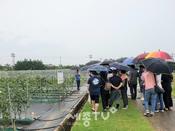 천안시농업기술센터가 7일 2020 신규농업인 영농 기초 기술교육 교육생을 대상으로 현장 기술교육을 추진하고 있다. (사진제공=천안시청)