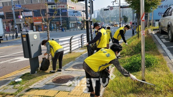 천안시 불당동 통장협의회가 20일 지역 내 공원 및 도로변 등에서 환경정화 봉사활동을 실시했다.(사진제공=천안시청)