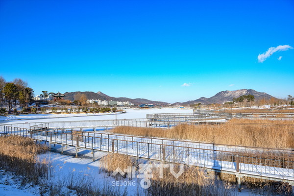 설경 (세종호수공원)