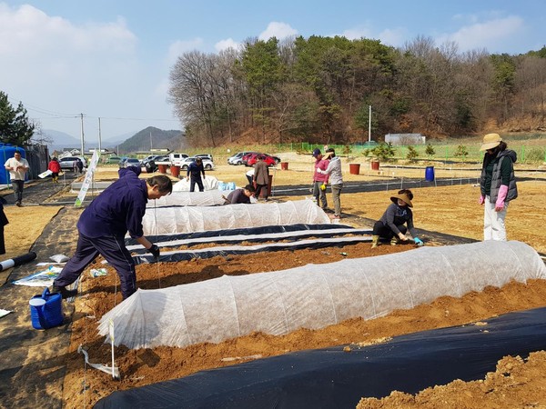 도시텃밭 현장실습 모습.