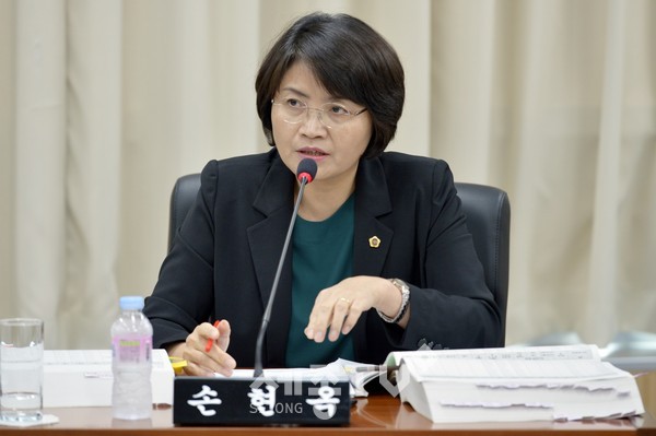 손현옥 의원