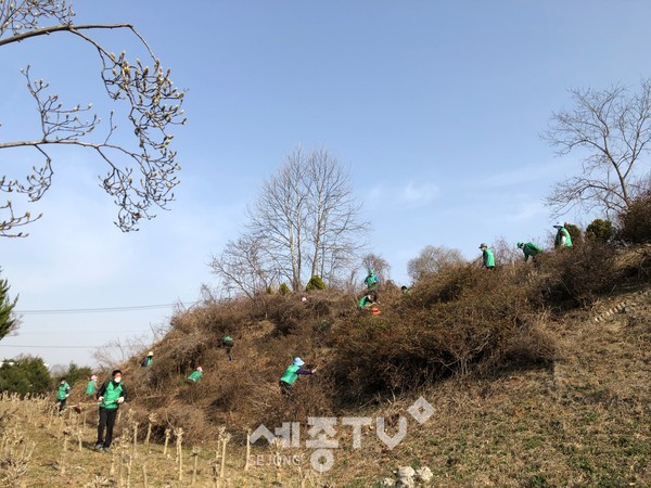 새마을동산 정비 모습.(사진=당진시 제공)