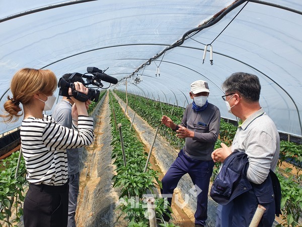 찾아가는 원예사랑방 컨설팅 모습(사진=금산군)