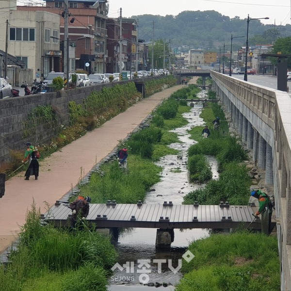 중학동자율방범대 제민천 잡초 제거.(사진=공주시)