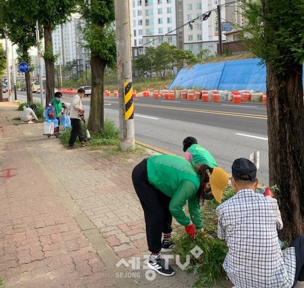 천안시 성정2동이 6일 새마을부녀회와 함께 추석맞이 도로변 제초작업 및 환경정비를 실시했다.(사진=천안시 제공)