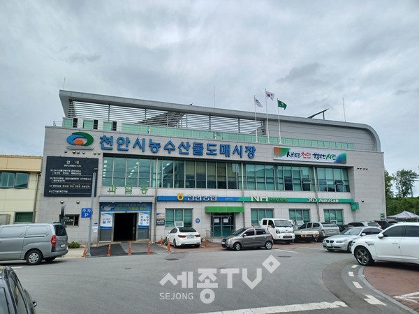 천안시 농수산물도매시장 과일동 전경