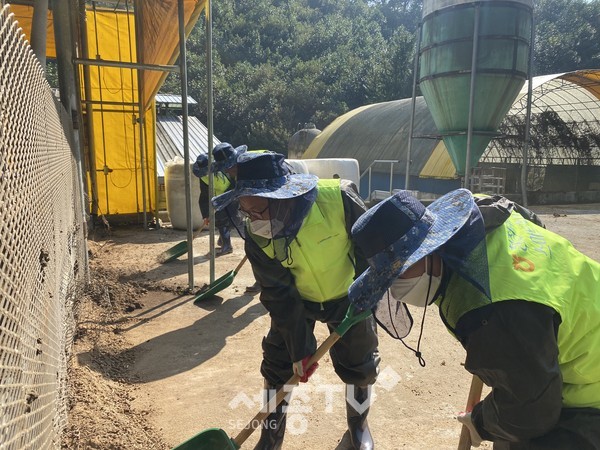 충남세종농협은 금산축협 생축장에서 충남세종지역 농·축협간 원활한 소통 문화를 만들기 위한 『계통 간 하나 되기 실천』행사를 실시했다.