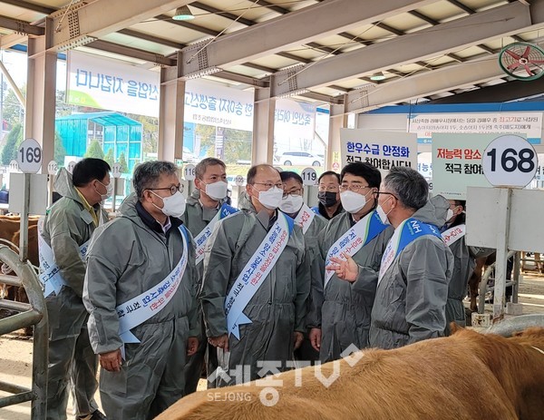 맹정호 서산시장(오른쪽 두 번째), 김태환 농협경제지주대표이사(오른쪽 세 번째), 길정섭 충남세종농협본부장(왼쪽)은 서산축협 가축시장에서 한우수급 안정을 위해 저능력 암소 감축사업을 홍보하고 있다.