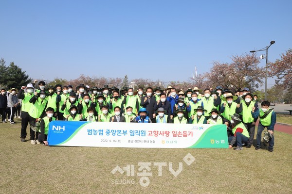 충남세종농협(본부장 이종욱)과 농협중앙본부 임직원들이 배꽃이 본격적으로 개화함에 따라 주말 화접 농촌일손돕기에 나섰다.