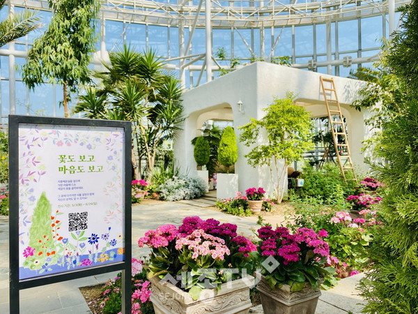 사계절전시온실 내 지중해온실에서 색채심리학을 활용한 봄꽃 힐링 전시 ‘꽃도 보고, 마음도 보고’를 5월 3일부터 6월 26일까지 운영한다.