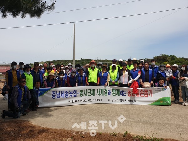 충남세종농협 임직원, 봉사단체 사계절회원 60여명이 14일 당진시 합덕읍을 찾아 농촌일손돕기 봉사활동을 펼쳤다.