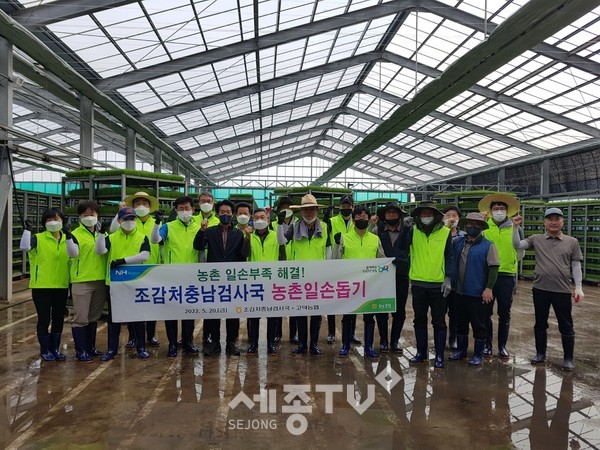 농협충남검사국(국장 이용권)과 직원들은 20일 고덕농협 육묘장을 찾아 모판 이앙작업 일손돕기 봉사활동을 펼쳤다.(사진제공=충남세종농협)