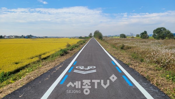 천안 자전거 둘레길 100리 1구간인 ‘성환천 억새길’