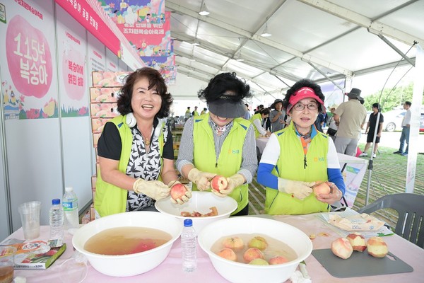 조치원복숭아축제