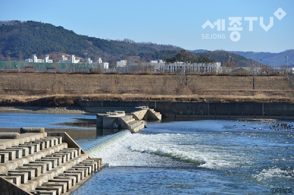 세종보 전경