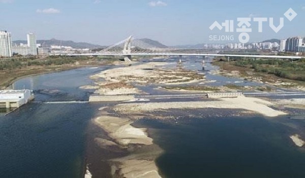세종보