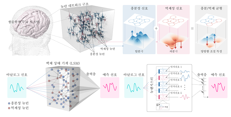 연구모식도