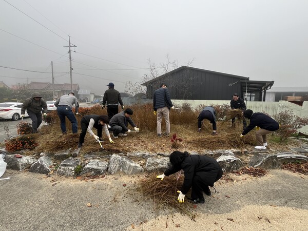 금성면행정복지센터 직원들이 코스모스화단을 정비하는 모습/사진=금산군 금성면