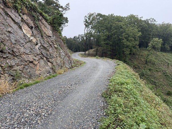 복수면 신대리 산불진화임도/사진=금산군 산림녹지과