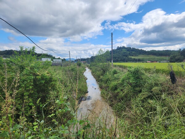 사업 예정지/사진=금산군