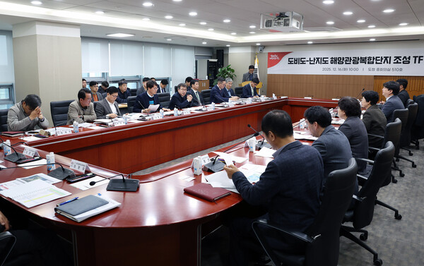 도비도·난지도 개발 전담팀 첫 회의 모습/사진제공=충남도청